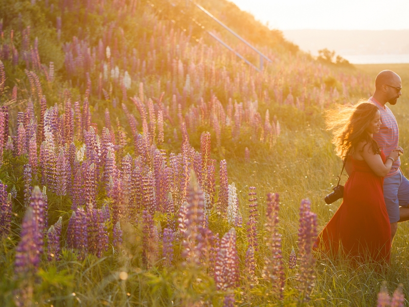 Couple, lupins, warm lighting