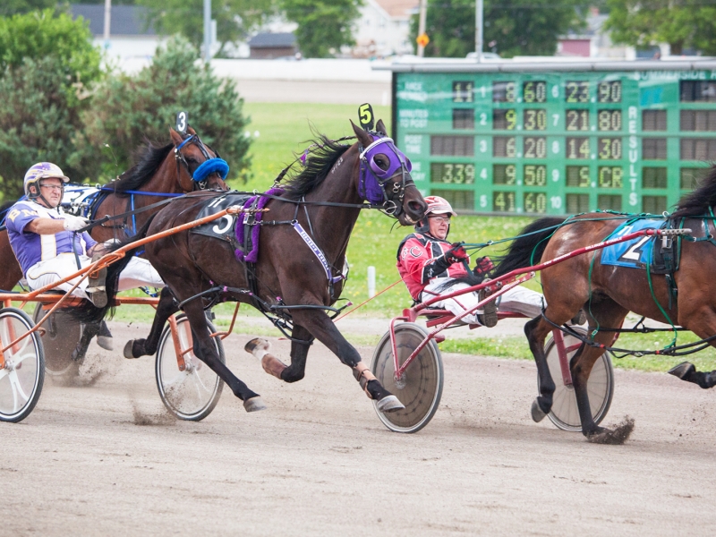 Horse Racing, Summerside Raceway