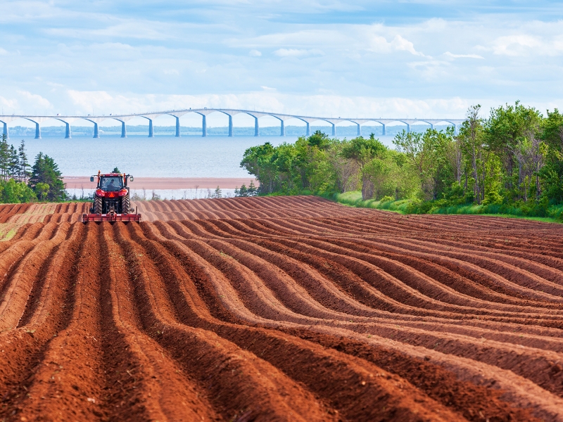 North Carleton, field, tractor, bridge 