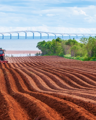 North Carleton, field, tractor, bridge 