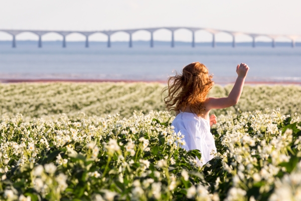 Woman in flower field, North Carleton