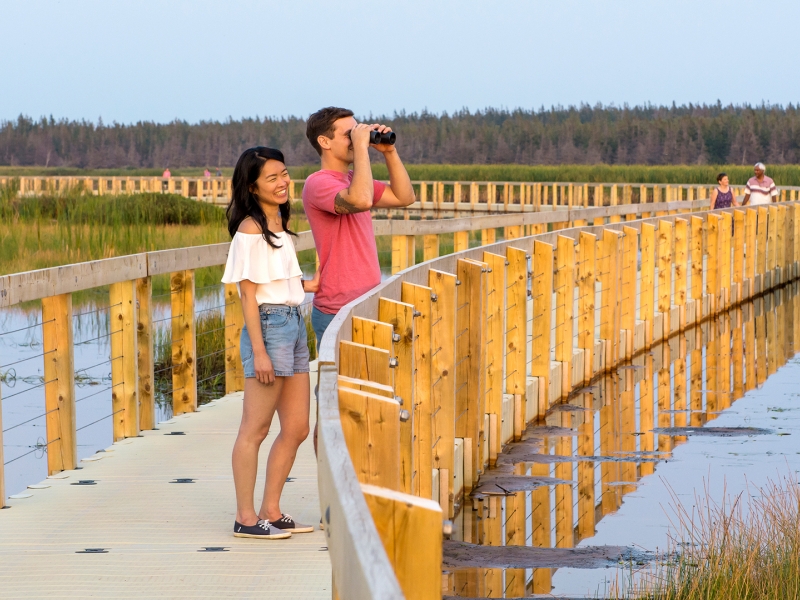 Greenwich, PEI National Park, boardwalk, couples, binoculars, water