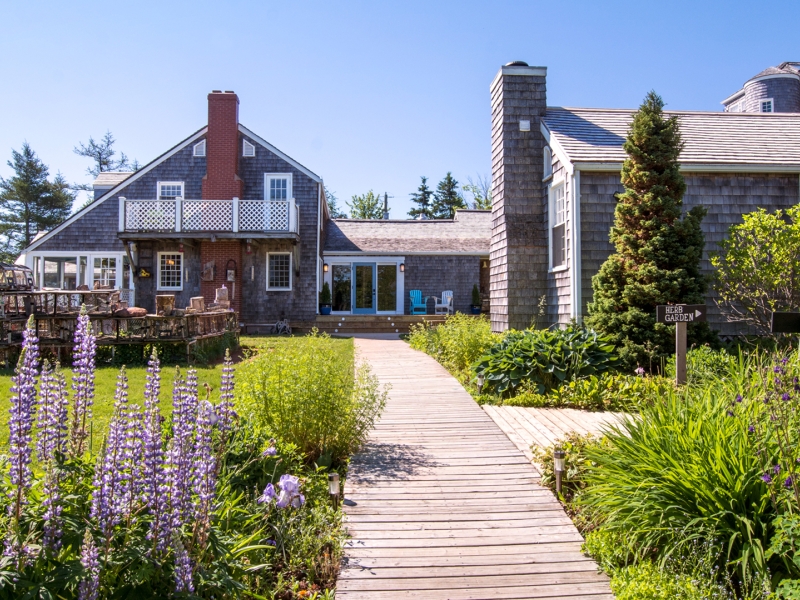 Inn at Bay Fortune, lupins