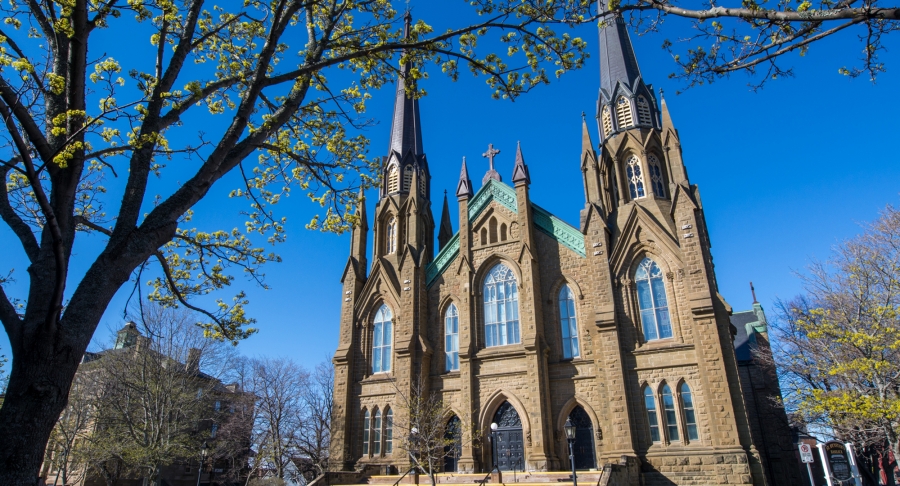 Charlottetown, Basilica, church, tree