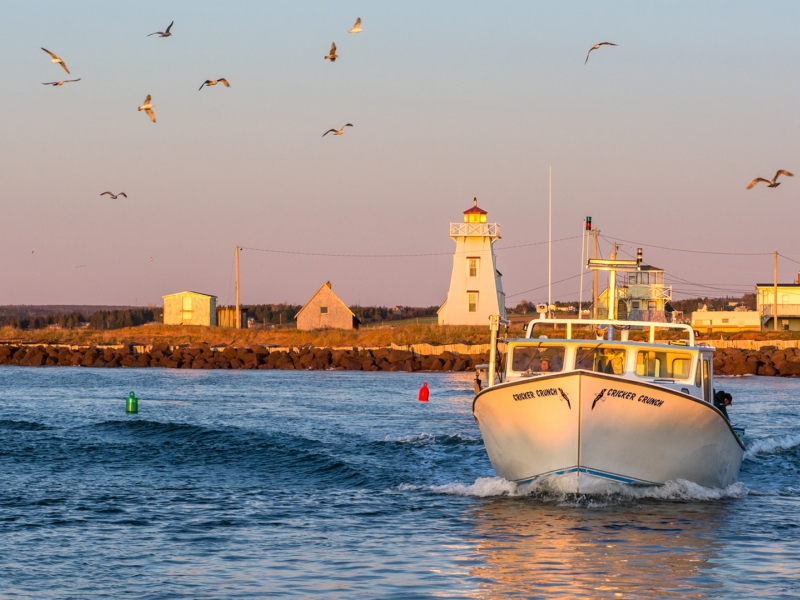 North Rustico, ocean, boat, seagulls, sunset