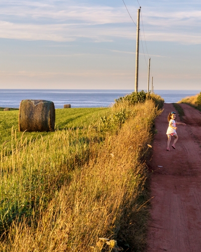 Field, Hay, grass, scenic, road