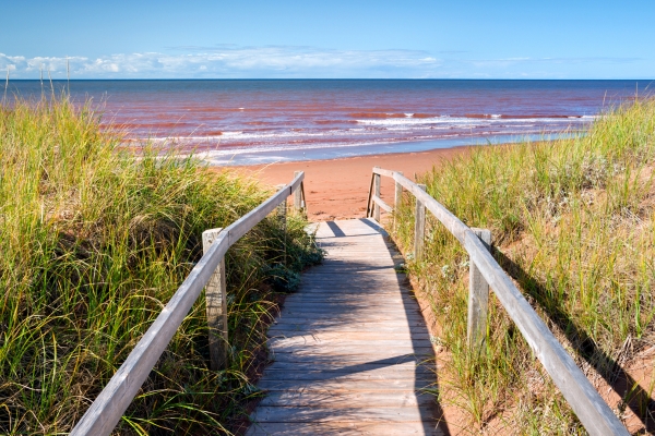 Ocean, waves, walking path