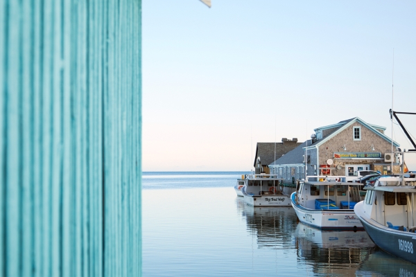 Fall Flavours, Savour Victoria, boats, harbour