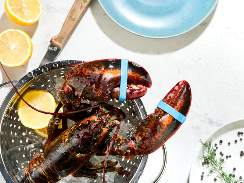 Lobster Cooked, food photography