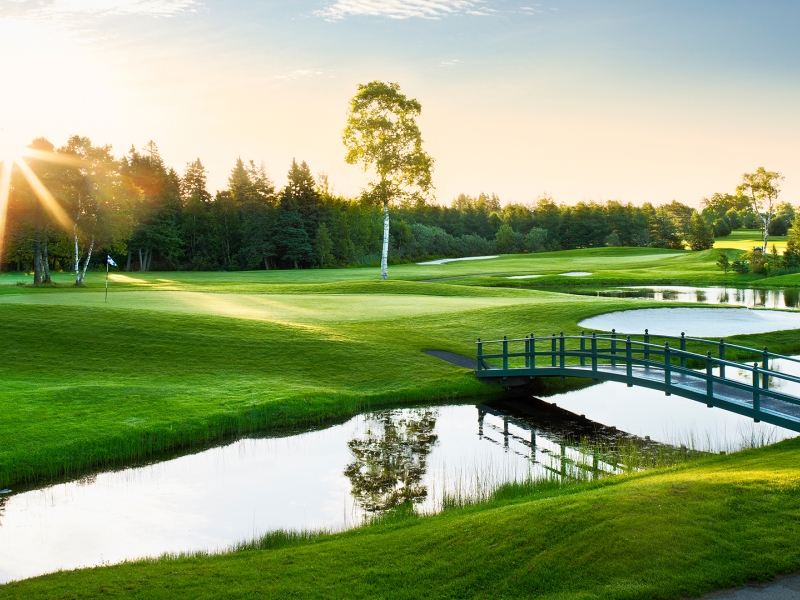 Bridge, grass, sun, pond