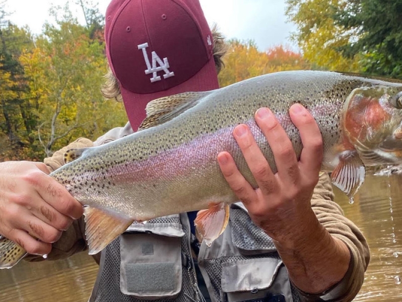 Tip to Tip Fly Fishing