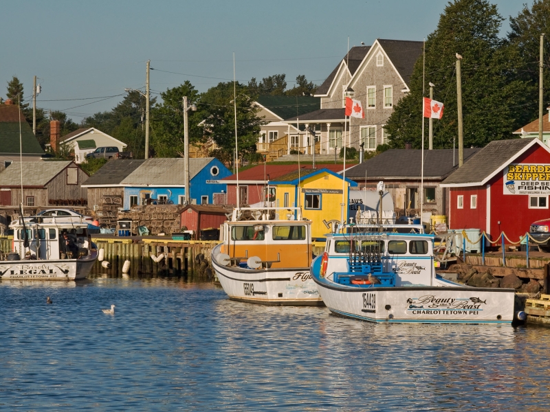 Bearded Skipper's Deep-Sea Fishing