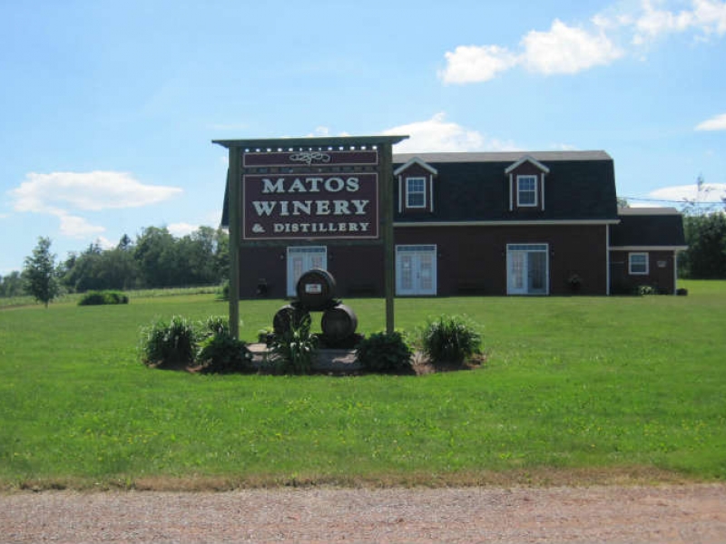 Matos Winery & Distillery