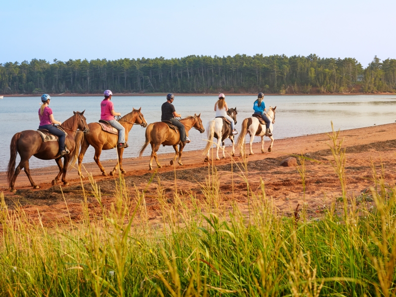 Brudenell River Horseback Riding