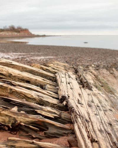 Closeup of shipwreck remains on beach at Georgetown