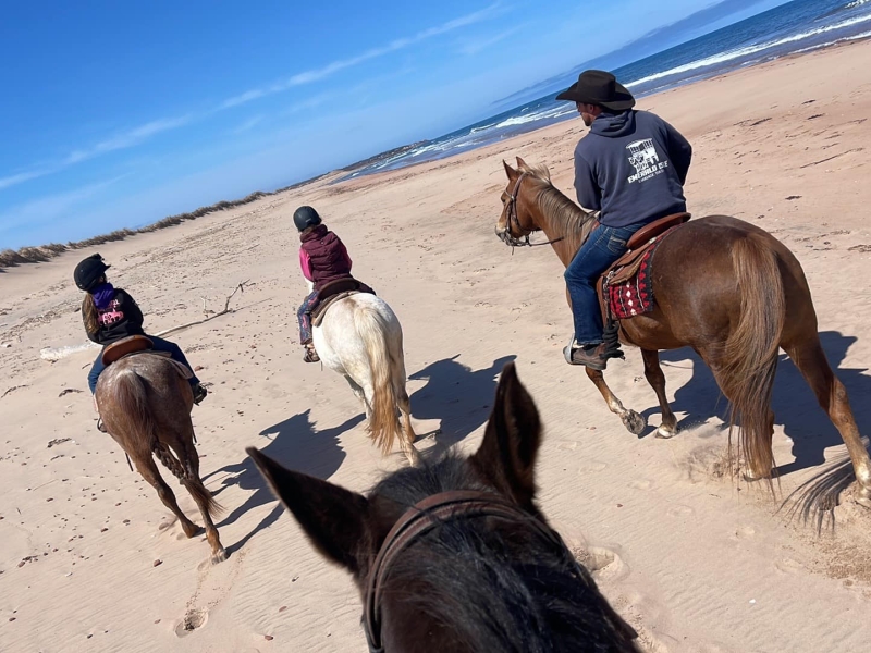 Lakeside Trail Rides