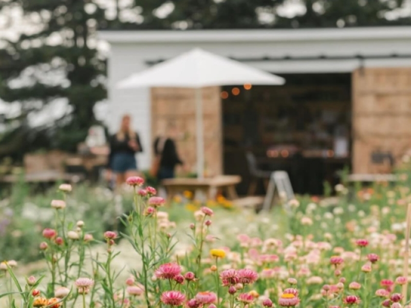 Little Dutch Flower Farm