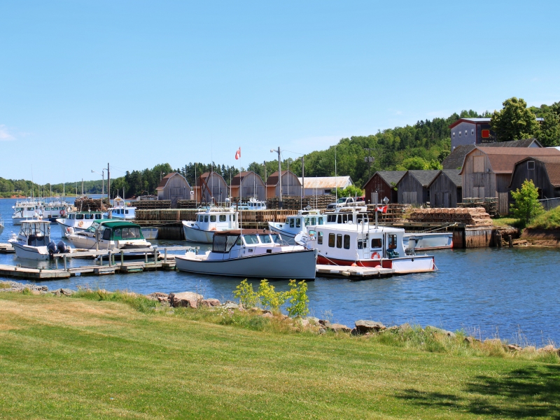 harbour at Montague, PEI