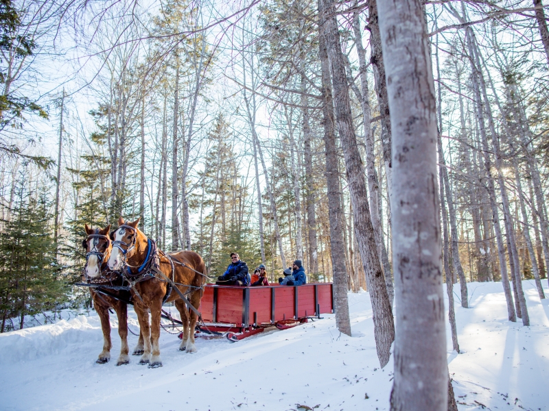 Horse and sleigh ride through the woods at Mill River Resort