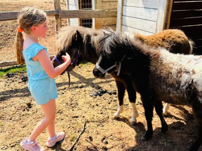 Whispering Hope Farm