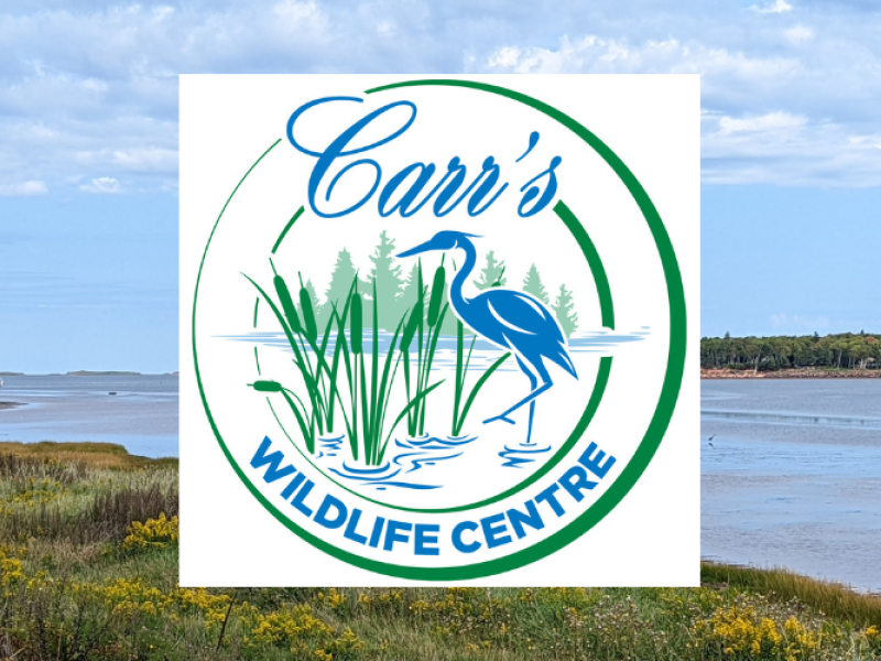 Carr's Wildlife Centre & Gift Shop in Stanley Bridge