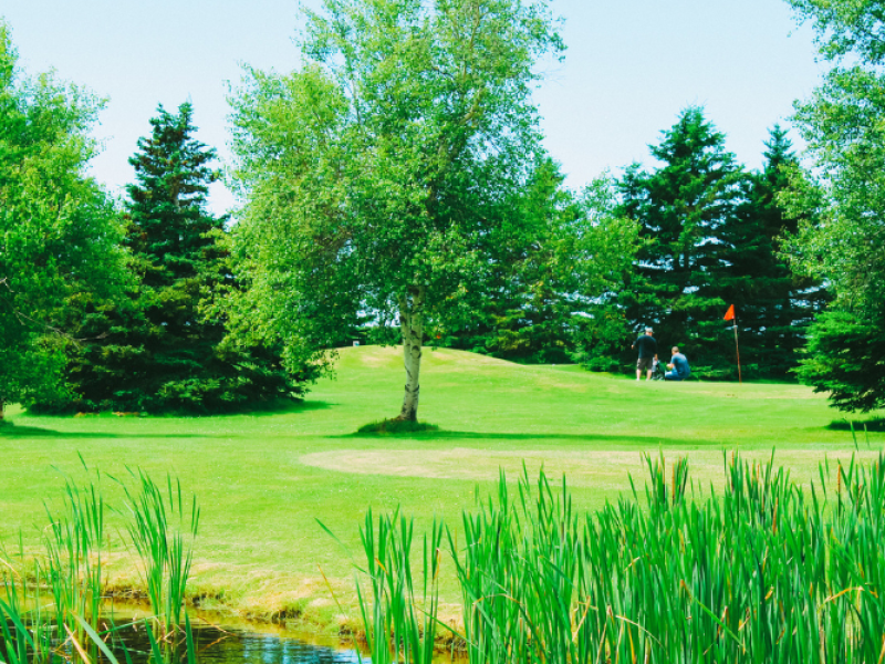 Darnley Greens Golf Course